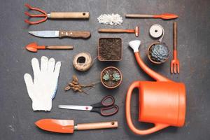 How to Organize Your Garden Tools for Maximum Efficiency and Ease