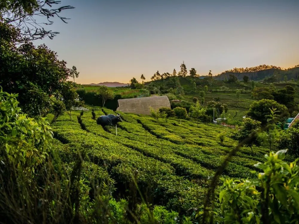 Best Hill Stations in India