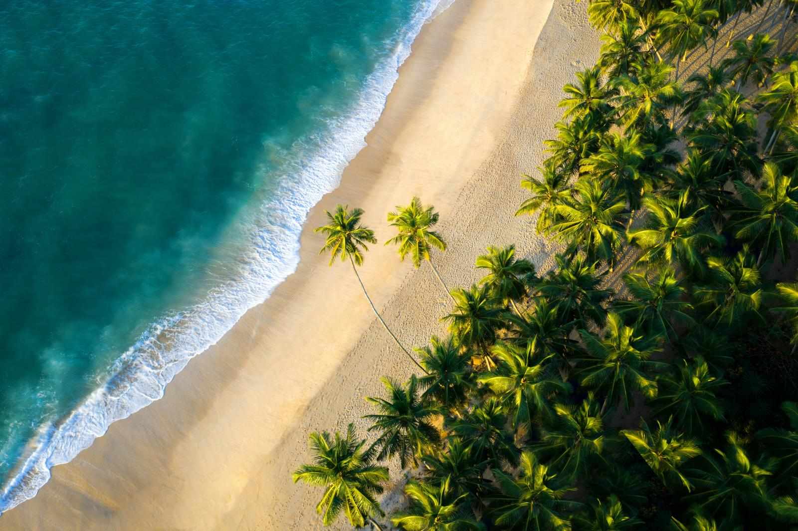 A Honeymoon to Remember — Sri Lanka on a Budget