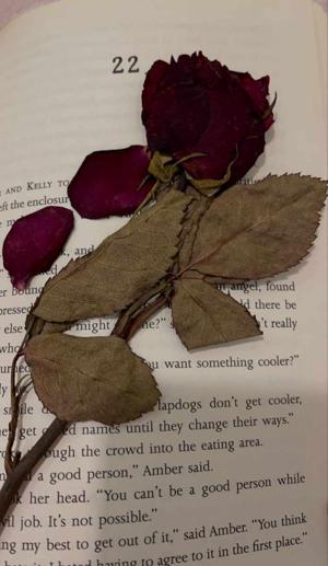 4. First Rose of Death