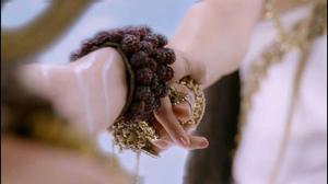 53) Flightless Bird