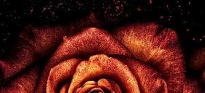 14. Sin on skin