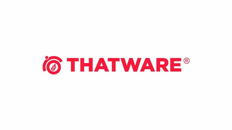 Leading SEO Agency in India | Thatware LLP