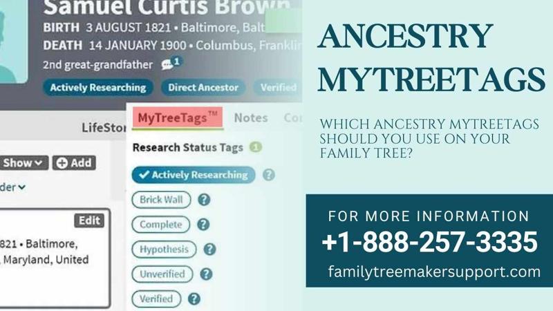 What are Ancestry MyTreeTags?