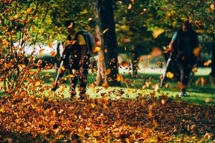 Expert Drainage Installation: Keep Your Lawn Dry and Healthy