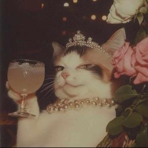 💗 Moonlit Menace 💗 logo