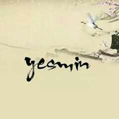 NADIA YESMIN logo