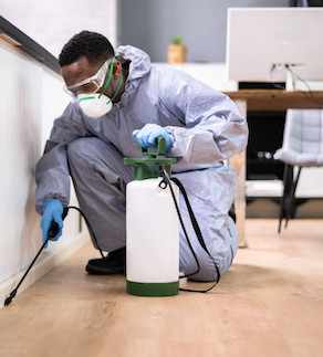 Affordable Residential Pest Control in Virginia for Comfortable Living