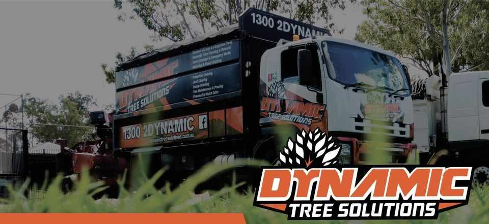 Dynamic Tree Solutions