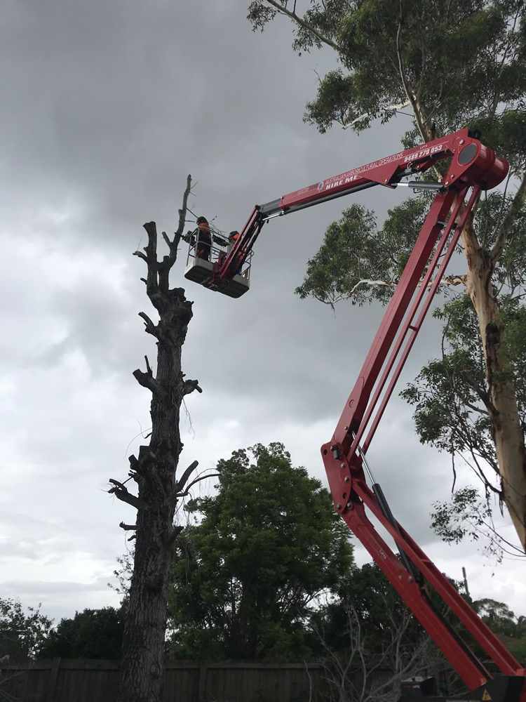 Civil Tree Services