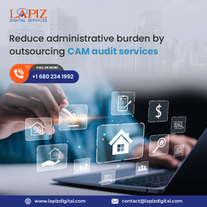Cam Audit Services - Lapiz Digital Services