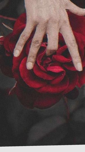 Periods Heat (18+) 🥵