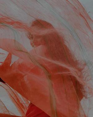 Wandererwriterr  logo