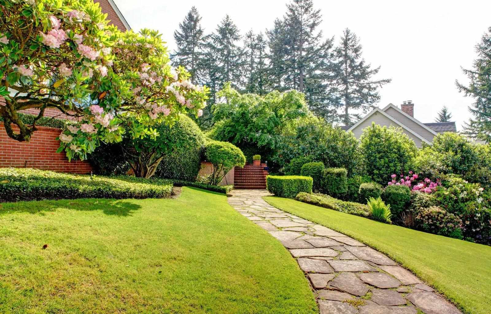 Enhancing Your Outdoor Oasis: Landscaping Tips for Illinois Residents