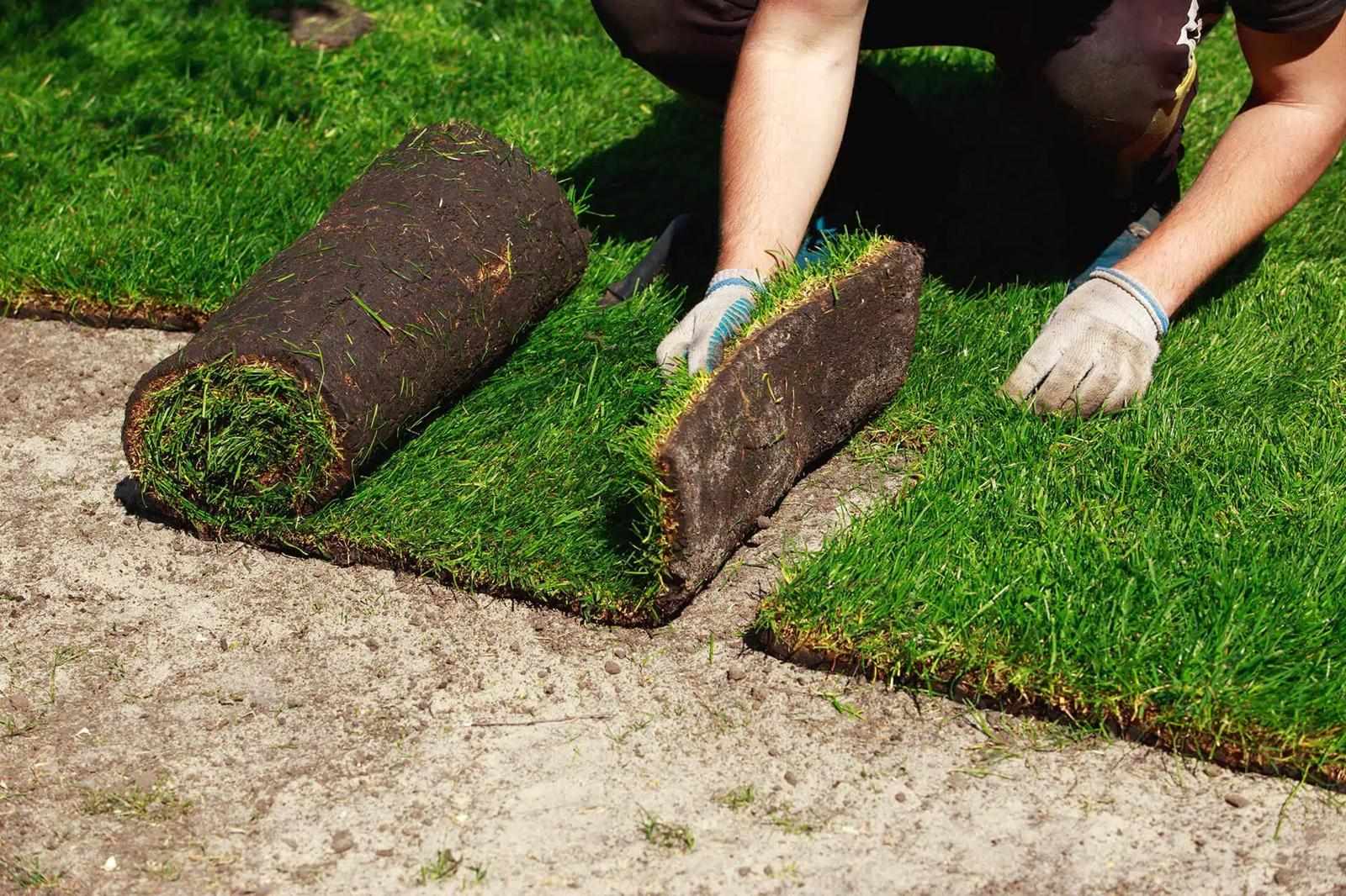 Transform Your Outdoor Space with Affordable Landscaping Solutions