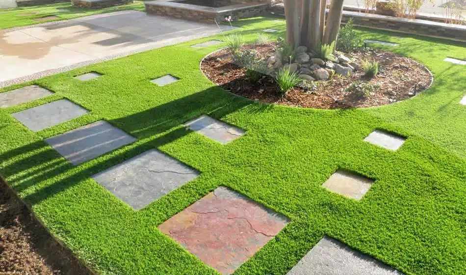 Lush Landscapes: Transform Your Outdoor Space with Professional Turf Installation