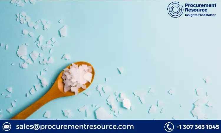 Cyanuric Chloride Market Analysis: Pricing Insights, Industry Trends, and Future Forecasts | A Comprehensive Report by Procurement Resource
