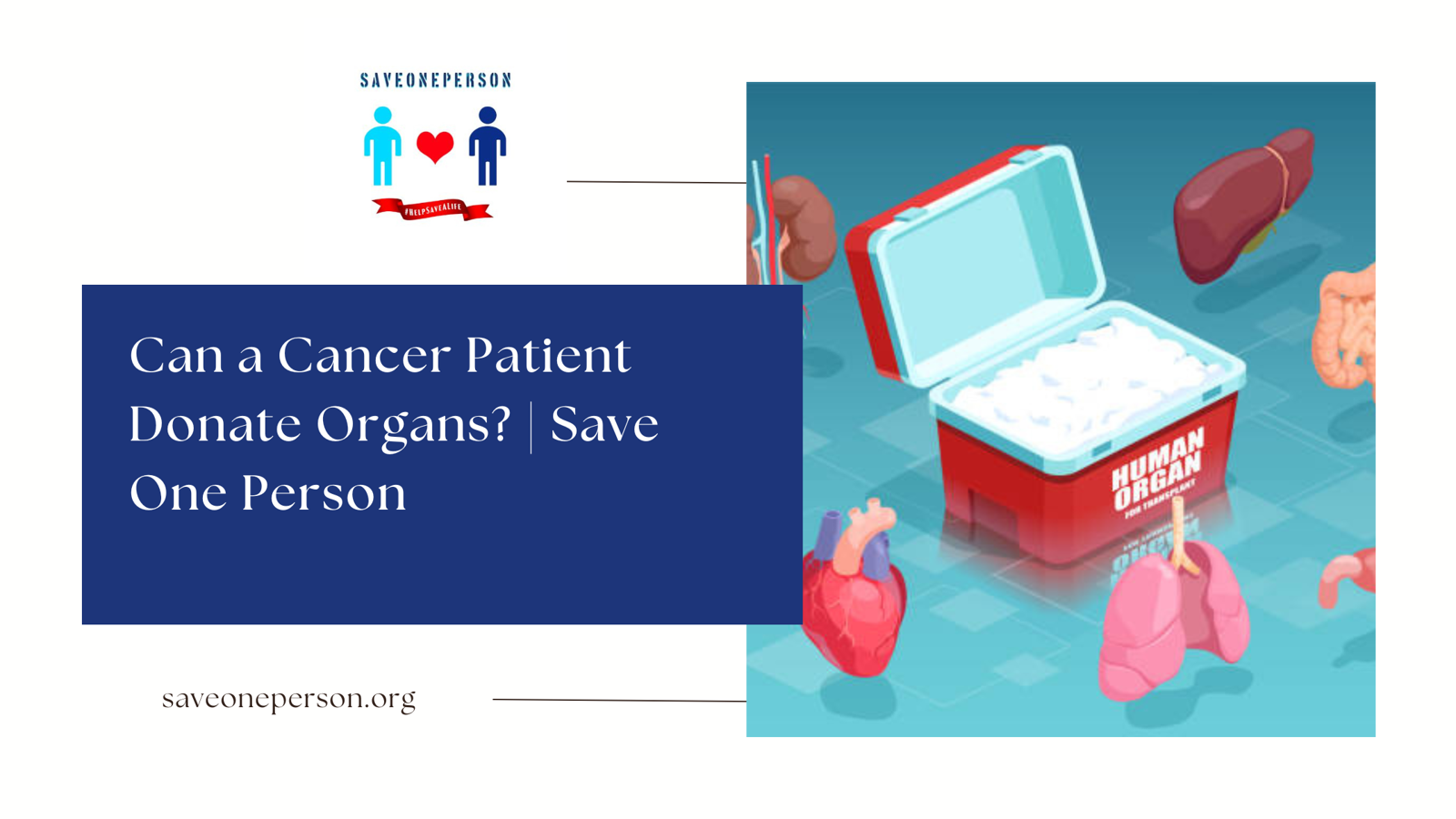 Can a Cancer Patient Donate Organs? | Save One Person