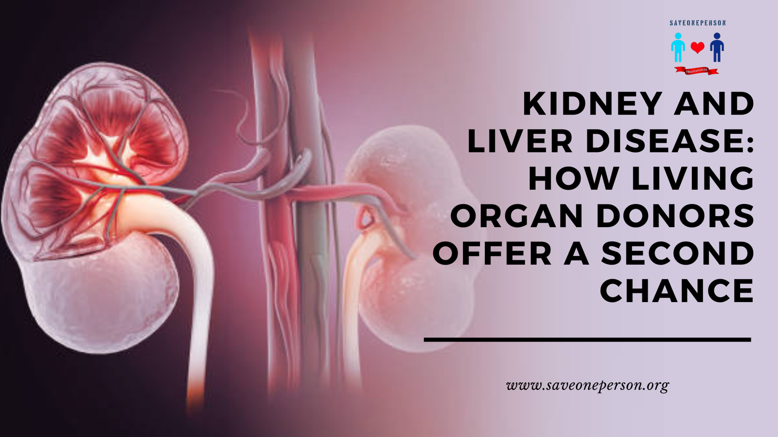 Kidney and Liver Disease: How Living Organ Donors Offer a Second Chance