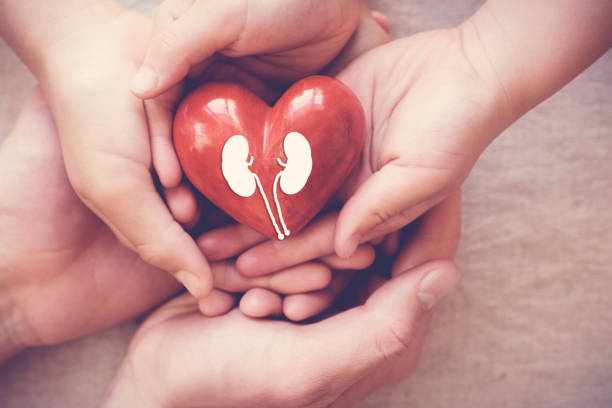 How You Can Help Solve the Organ Donation Shortage Today