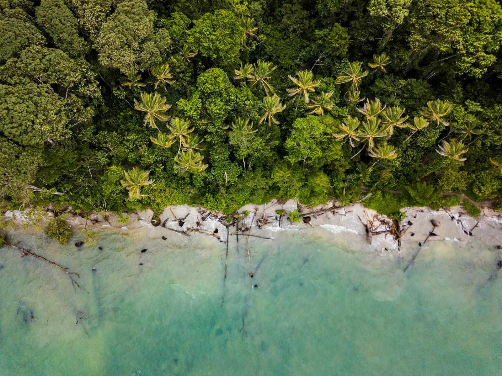 Exploring Paradise: My Unforgettable Spring Vacation in Costa Rica