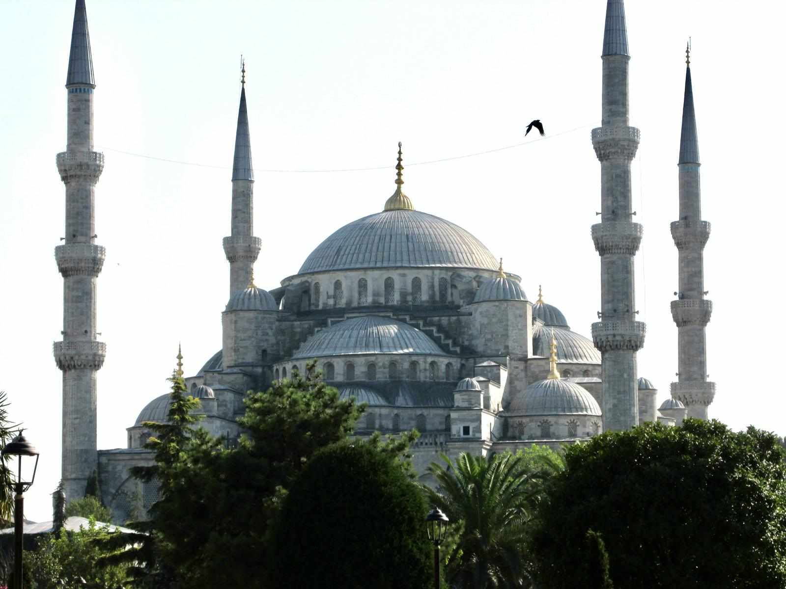 A Mesmerizing Journey to Istanbul, Turkey