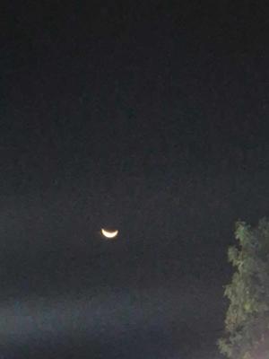 Varsha Priyamvadha logo