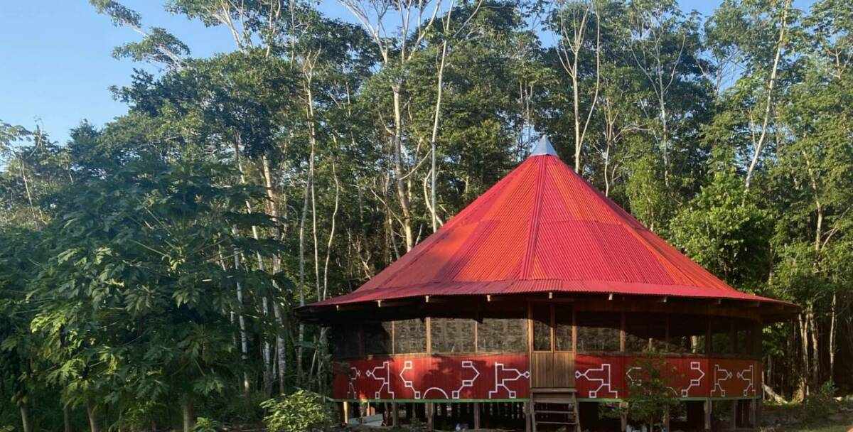 How to Prepare for a 10-Day Ayahuasca Retreat in Peru