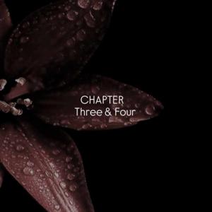 𝐂𝐡𝐚𝐩𝐭𝐞𝐫 3 & 4