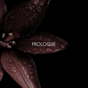 𝐏𝐫𝐨𝐥𝐨𝐠𝐮𝐞