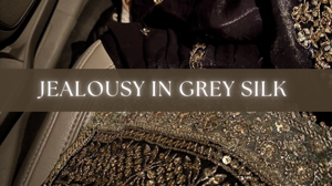 Chapter: 29 |PART- 2|- Jealousy In Grey Silk.