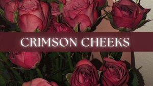 Chapter: 06 |PART-02|- Crimson Cheeks.