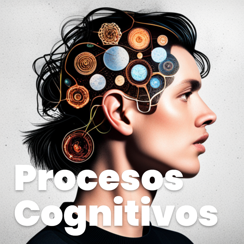 Procesos Cognitivos