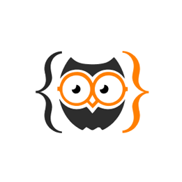 Coding Owls