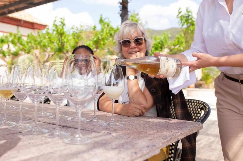 Exploring the Rich Heritage of Barcelona Vineyards