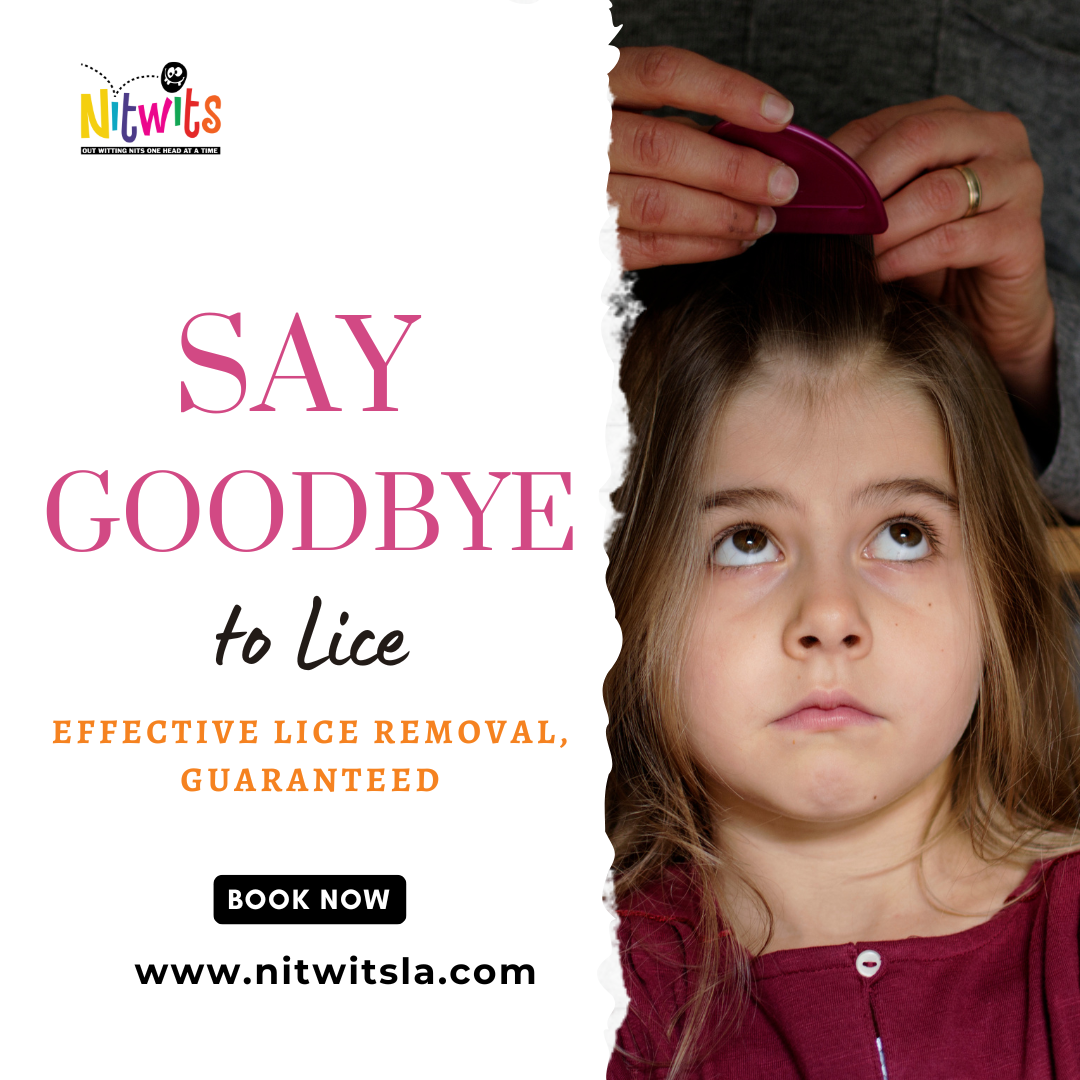 Effective and Natural Lice Treatment in Southern Louisiana