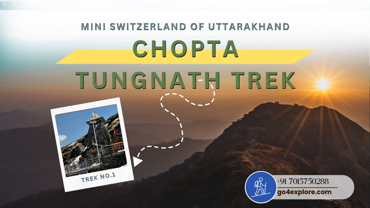 Your Essential Guide to Chopta Tungnath Trek: Itinerary, Costs, and How to Get There
