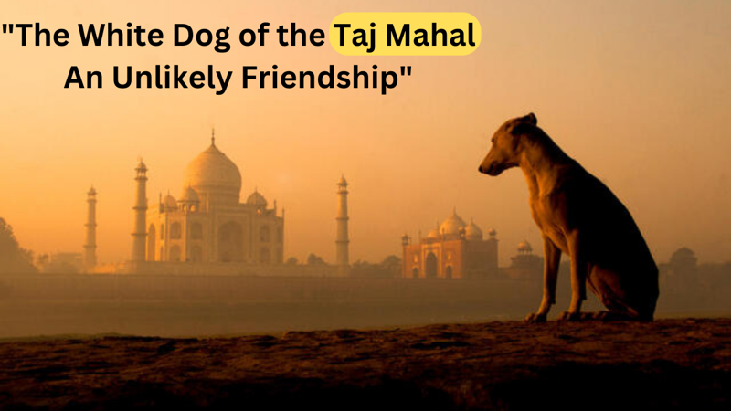 "The White Dog of the Taj Mahal: An Unlikely Friendship"