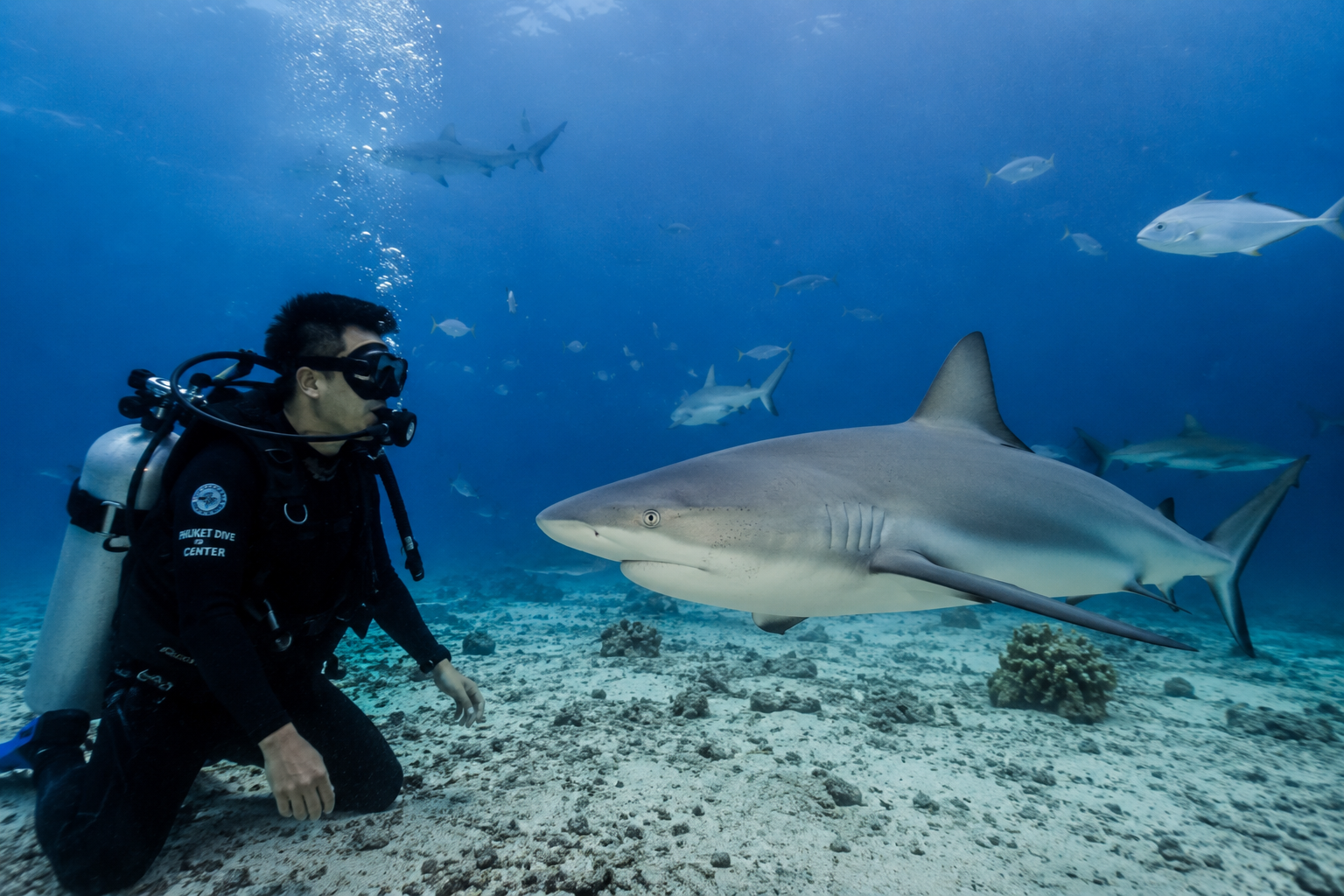 What Makes Similan Liveaboard So Popular with Ocean Lovers