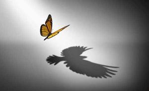 Shadow logo