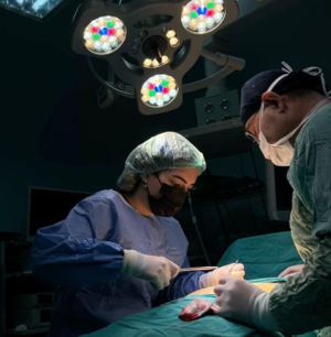 𝟐 𝐍𝐞𝐦𝐞𝐬𝐢𝐬