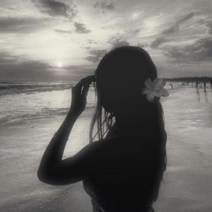 author_kavz