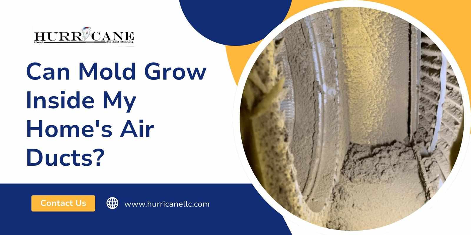 Can Mold Grow Inside My Home's Air Ducts