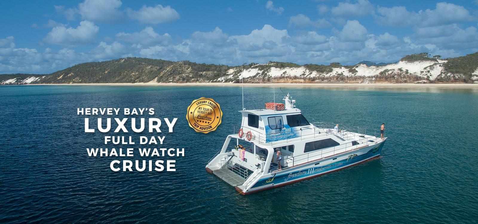 Hervey Bay Whale Watching