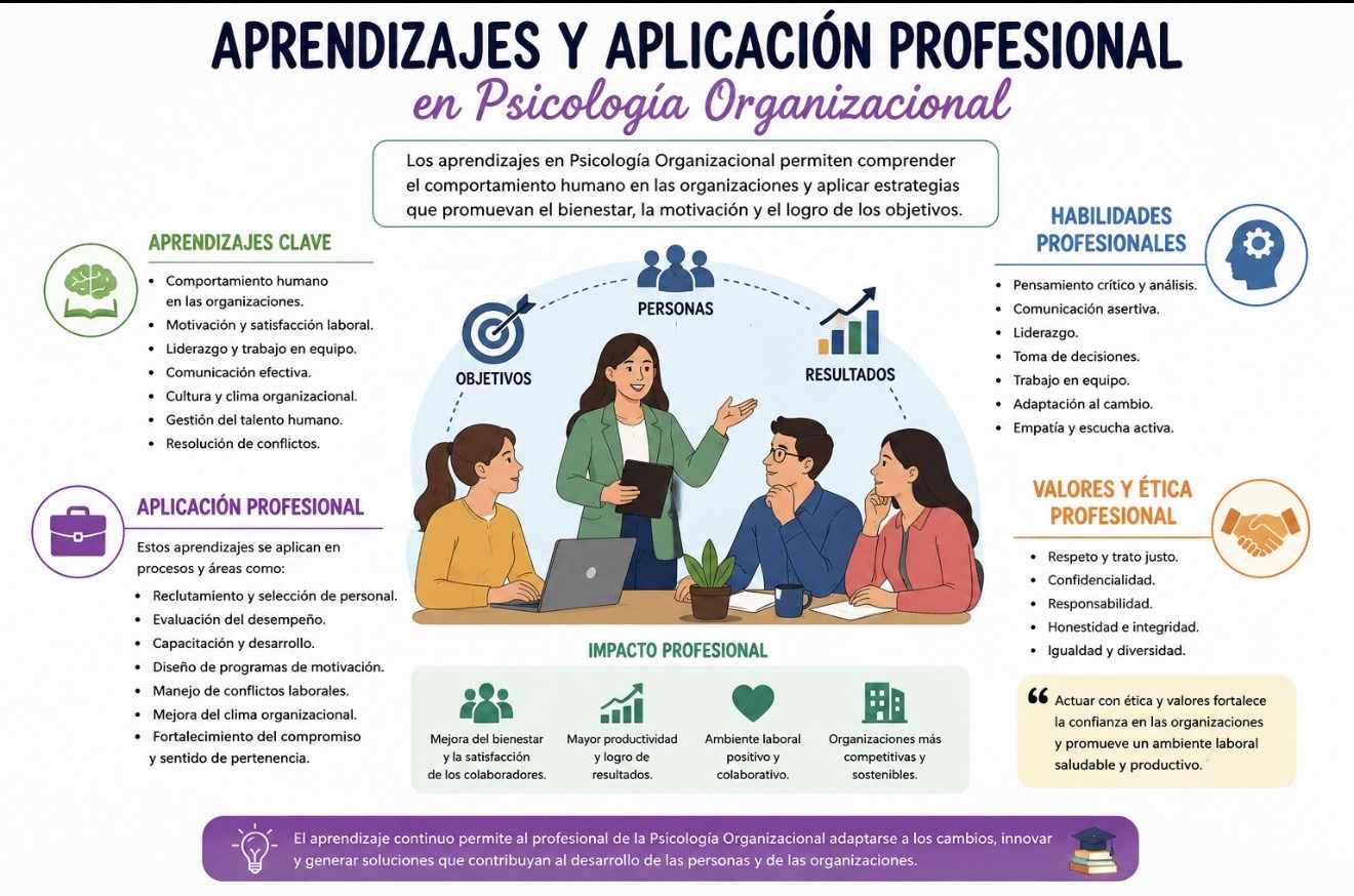 Aprendizajes y aplicación profesional en Psicología Organizacional