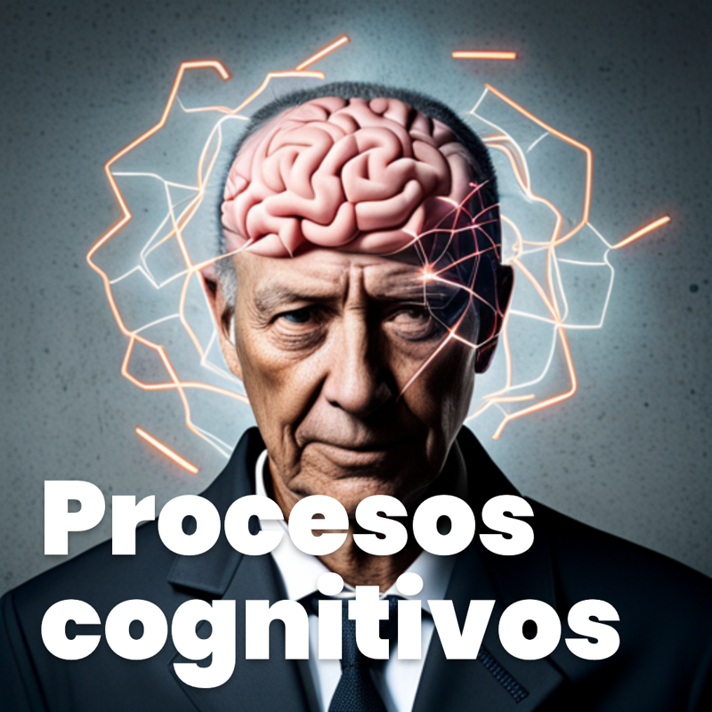 Procesos cognitivos