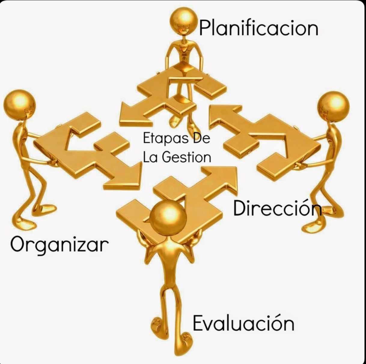 Desarrollo y dinámica de grupo en el ámbito educacional.