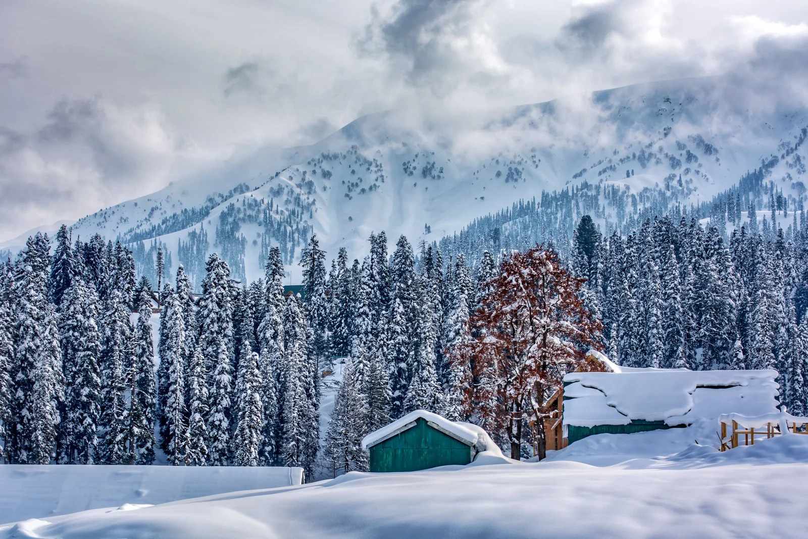 Kashmir Tour and Travels Packages: Daksh Pharma