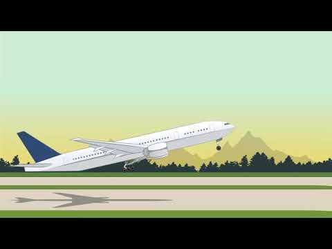 Turkish Airlines DFW Terminal