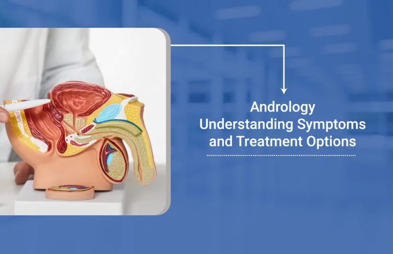 What diseases do an andrologist treat?
